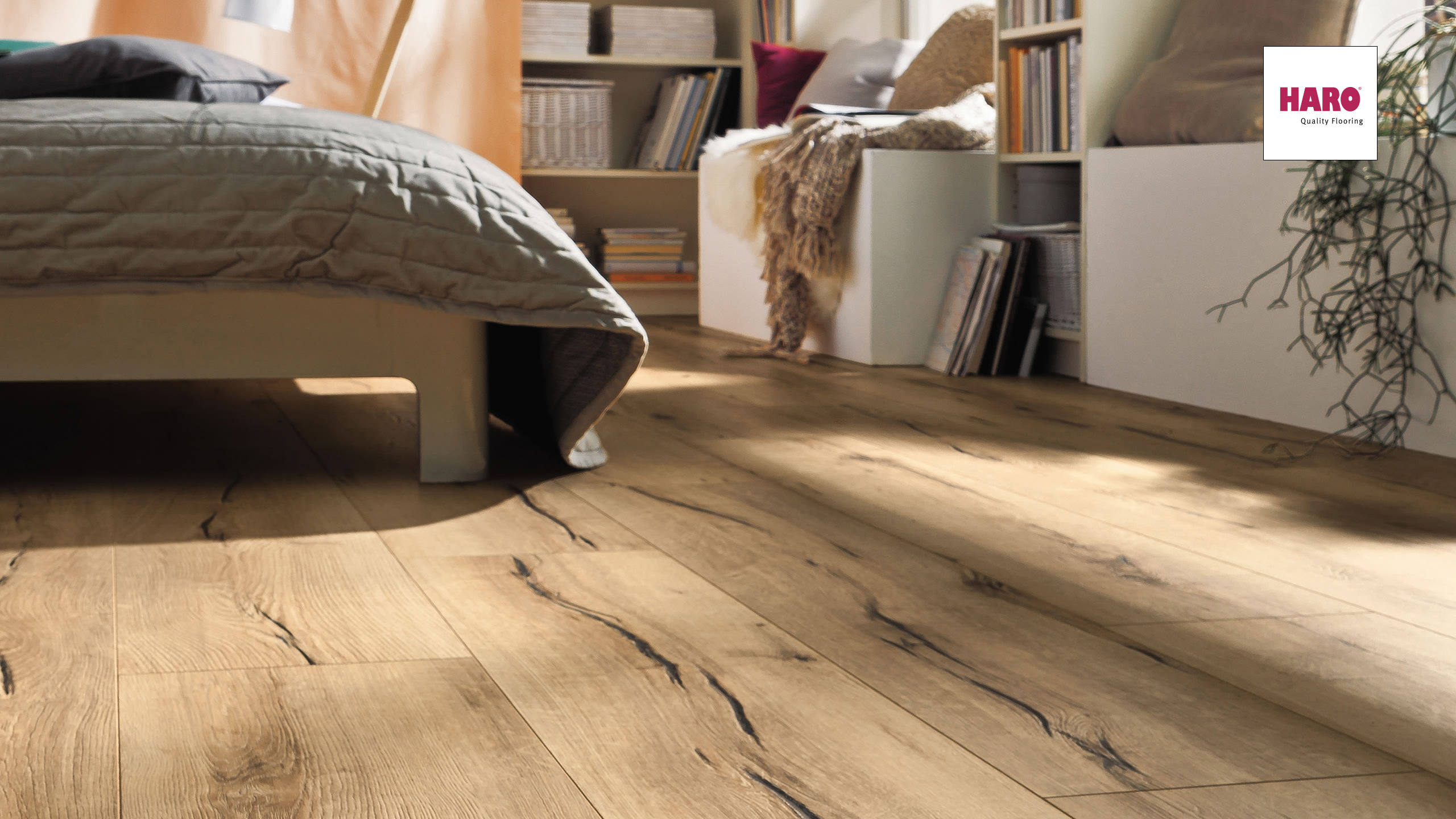 Ламинат Haro Tritty 100 Campus 4V Дуб Италика Крем 532060 1282×243×8 фото в интерьере